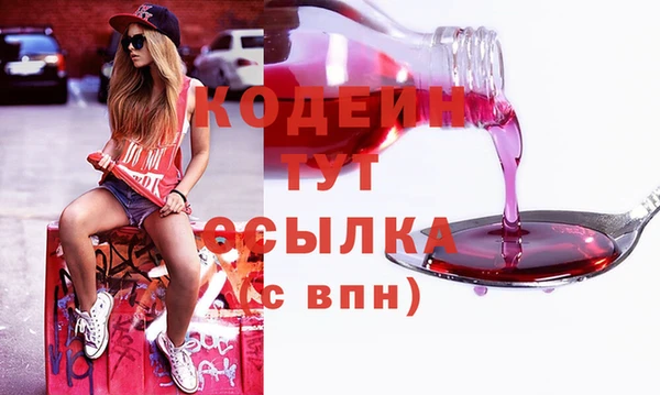 spice Арсеньев