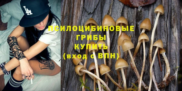 прущий лед Армянск