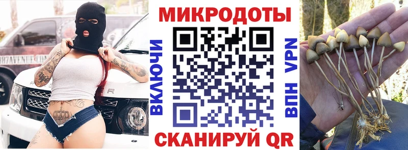 Купить  Новочебоксарск  Псилоцибиновые грибы Cubensis 